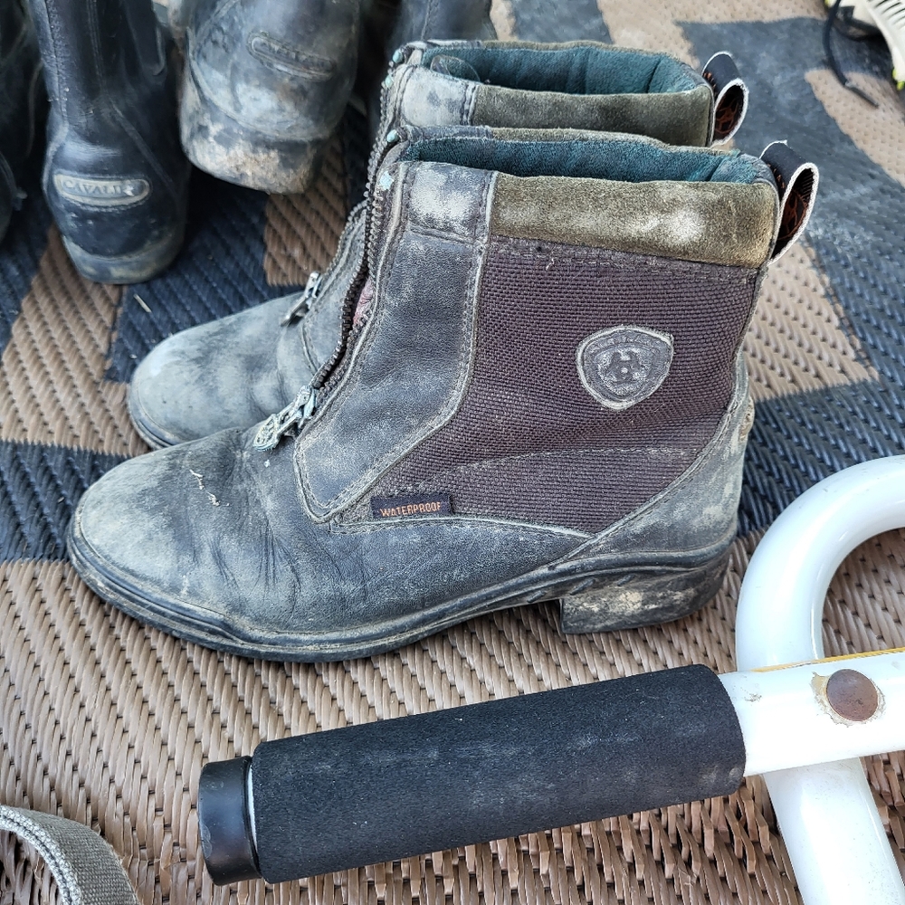 Ariat paddock boots blk